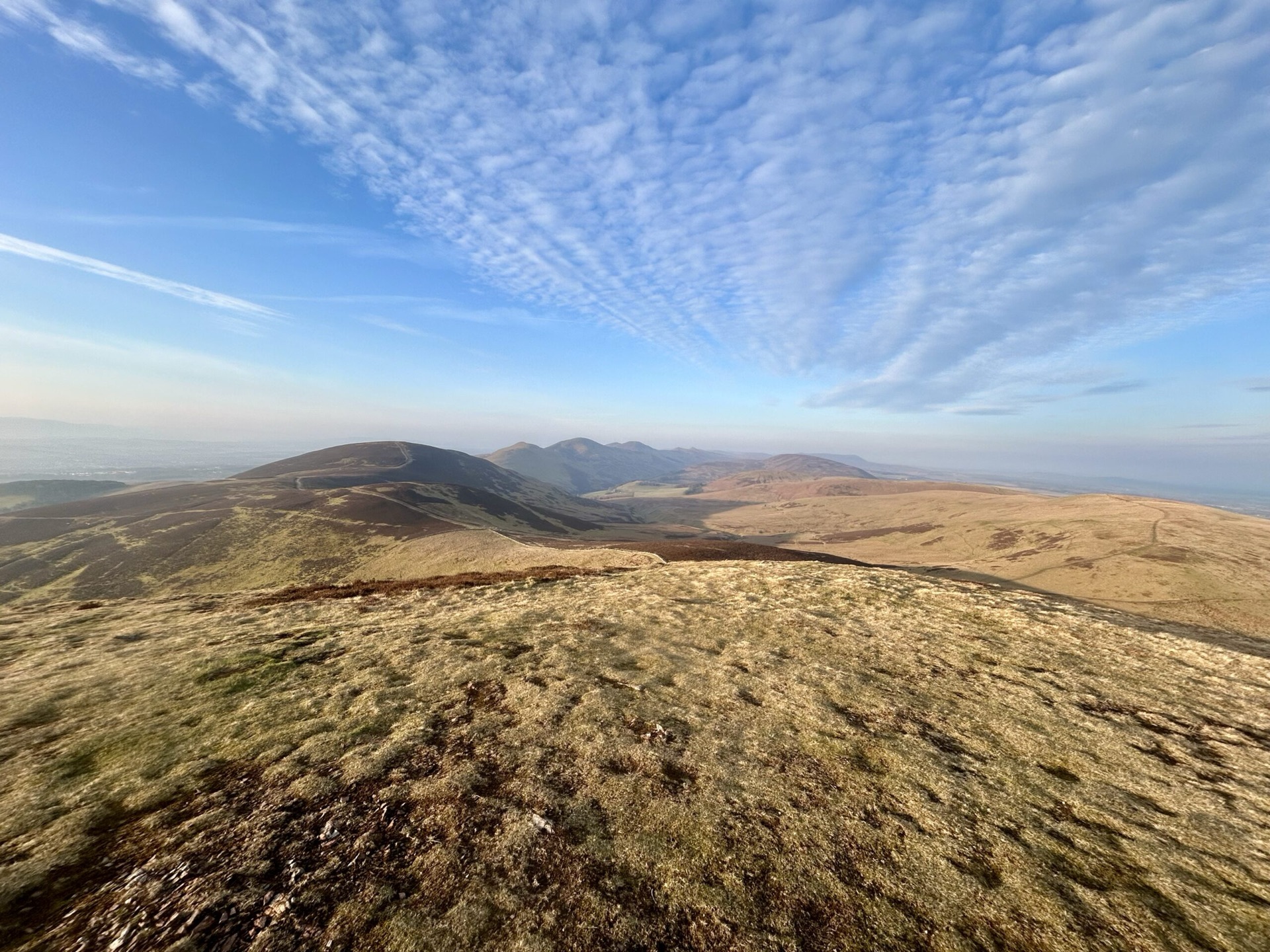 The Pentland ridge under a mackerel sky, from Caerketton above the farm