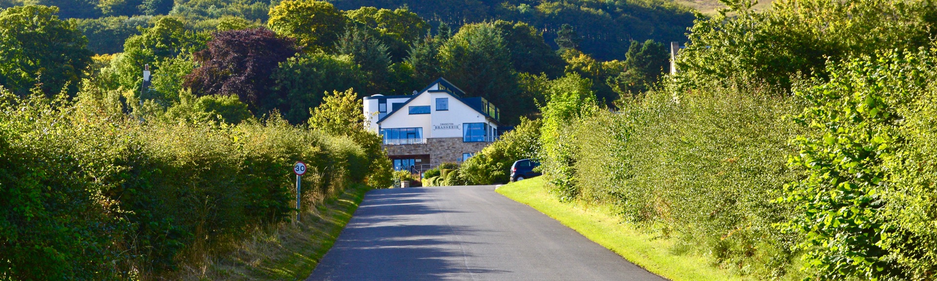 Swanston Road climbing between hedgerows to the white Brasserie building beneath the wooded Pentland hillside
